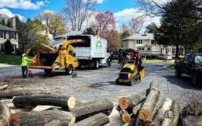 Best Hazardous Tree Removal  in Ester, AK